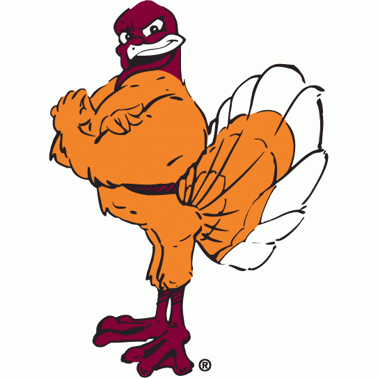 Virginia Tech Hokies 2000-Pres Mascot Logo diy iron on heat transfer